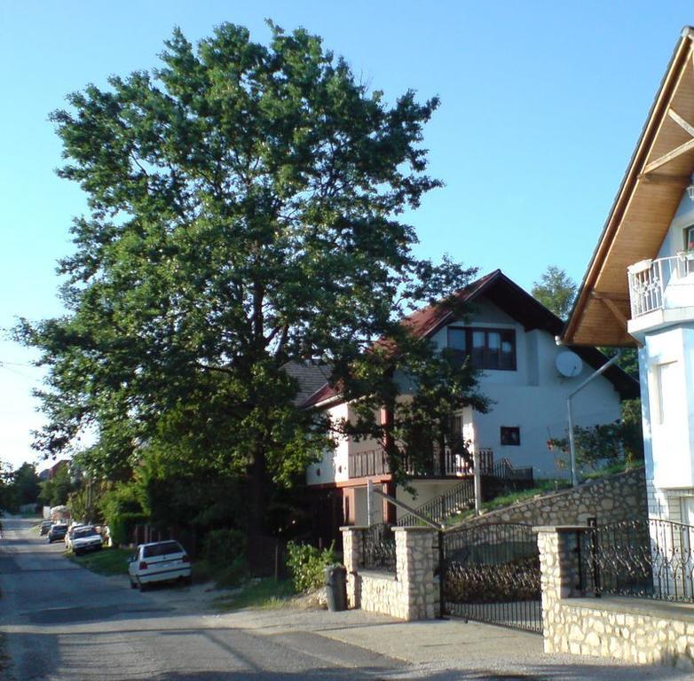 Budai Garden House Hévíz Rom bilde