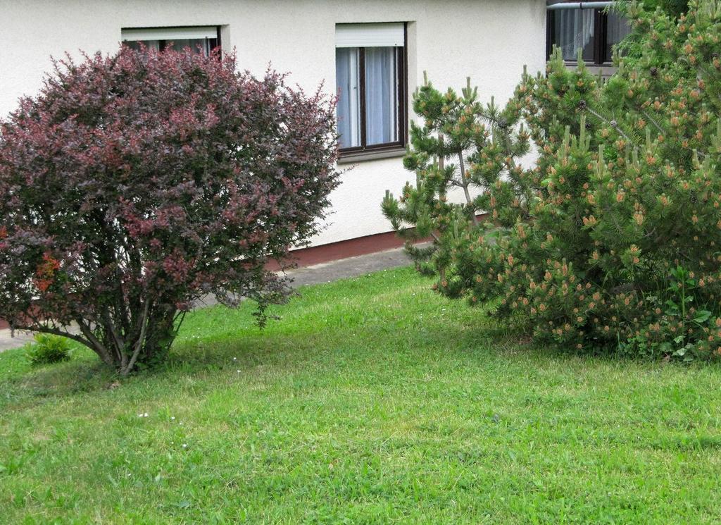 Budai Garden House Hévíz Rom bilde