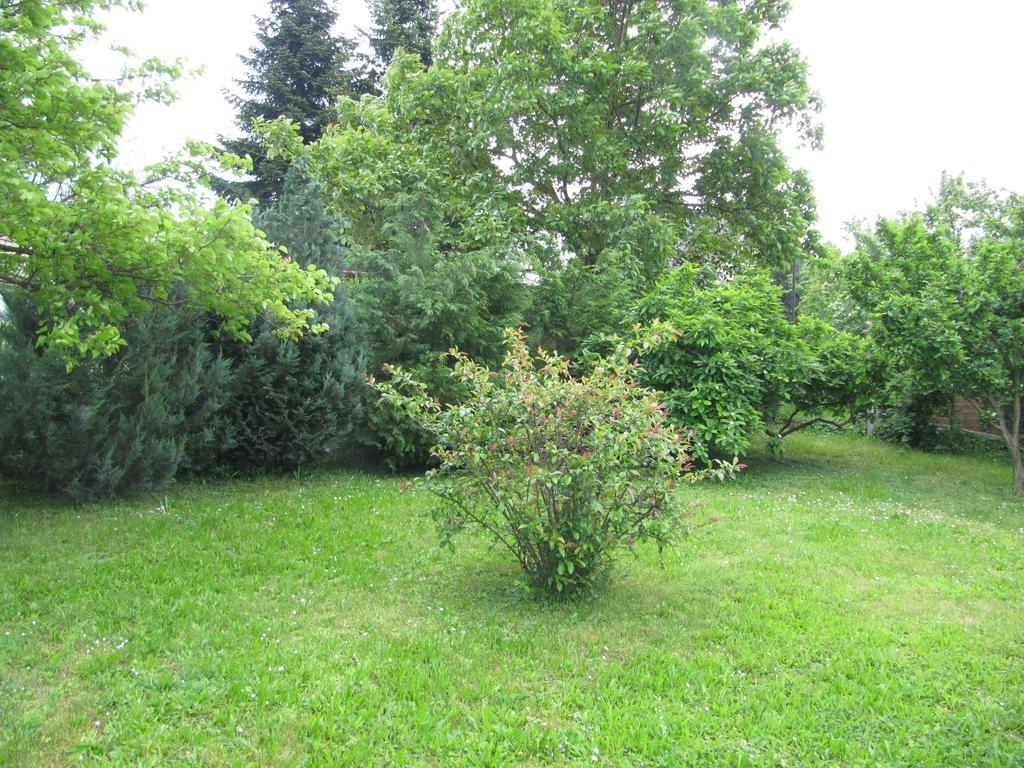 Budai Garden House Hévíz Rom bilde